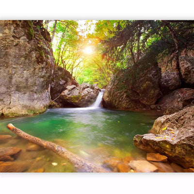 Wall Murals with a stream and a waterfall in a mysterious forest, 60007 G-ART