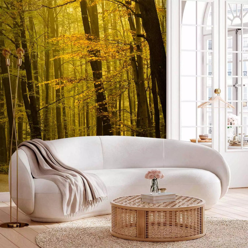 Wall Murals with nature - Path to the autumn forest, 60272- yellow G-ART