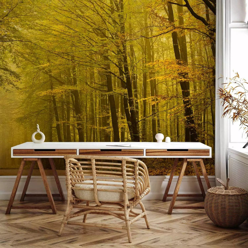 Wall Murals with nature - Path to the autumn forest, 60272- yellow G-ART