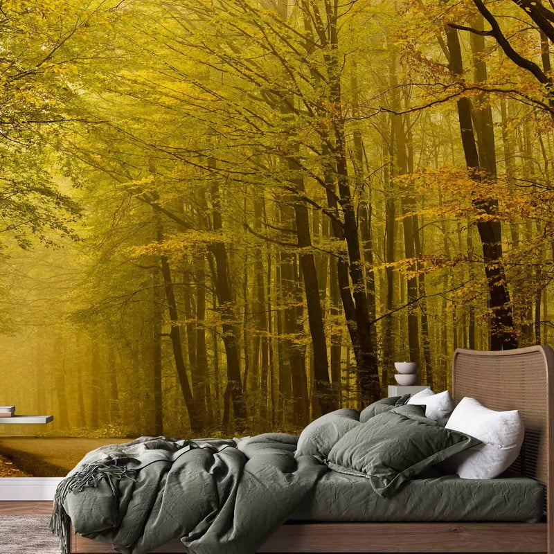 Wall Murals with nature - Path to the autumn forest, 60272- yellow G-ART