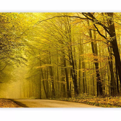 Wall Murals with nature - Path to the autumn forest, 60272- yellow G-ART