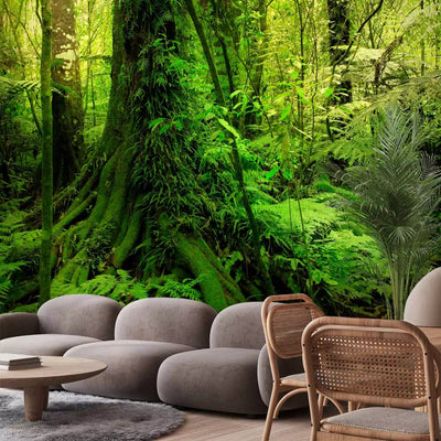 Wall Murals with green trees in the Jungle Forest, 60267 G-ART