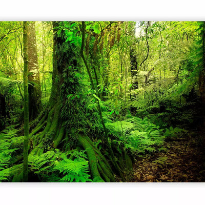 Wall Murals with green trees in the Jungle Forest, 60267 G-ART