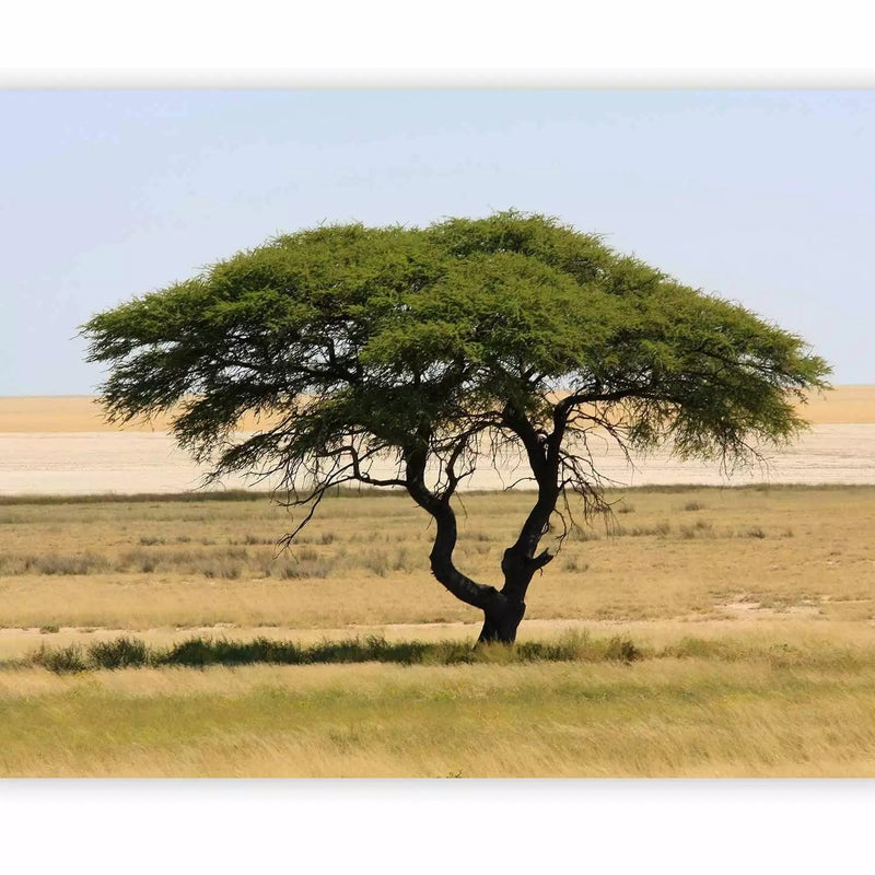 Wall Murals for a living room with savannah and Etosha National Park in Namibia G-ART