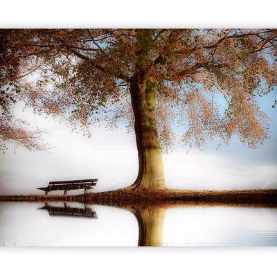 Wall Murals with nature - Tree by the lake - 60263 - various sizes G-ART