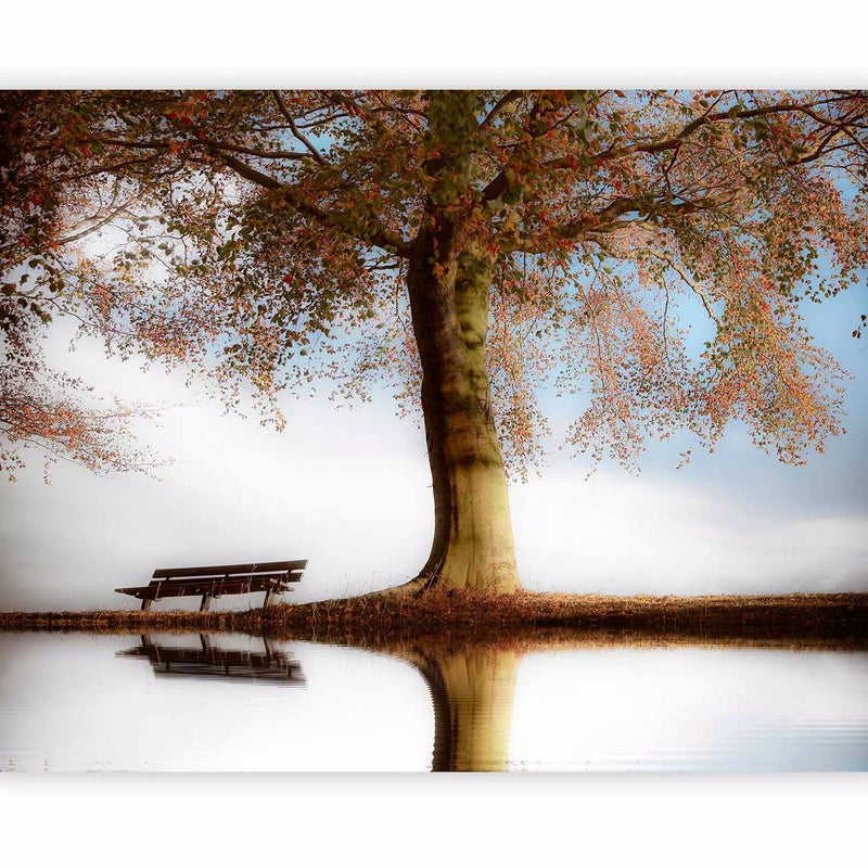 Wall Murals with nature - Tree by the lake - 60263 - various sizes G-ART