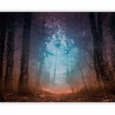 Forest landscape - mysterious forest with trees and leaves - in dark tones G-ART