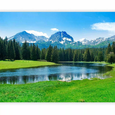 Wall Murals - Durmitor National Park landscape - mountain landscape with forest G-ART