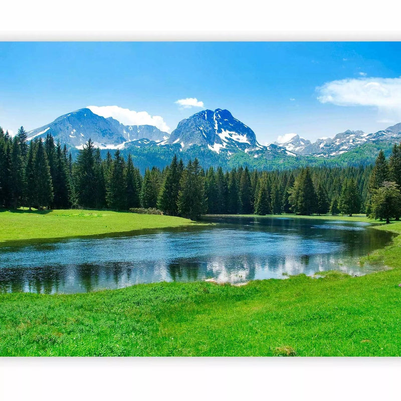 Fototapetai - Durmitor nacionalinio parko kraštovaizdis - kalnų kraštovaizdis su miško G-ART