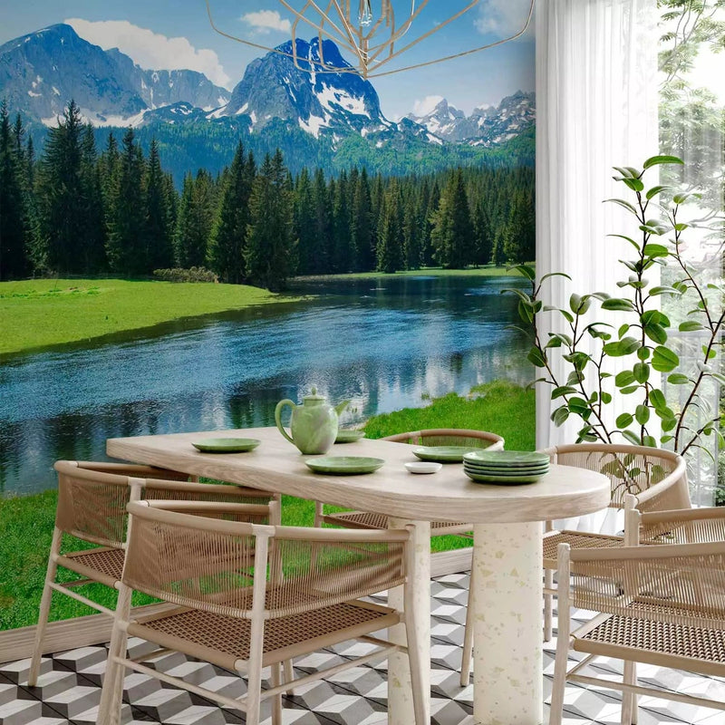 Wall Murals - Durmitor National Park landscape - mountain landscape with forest G-ART