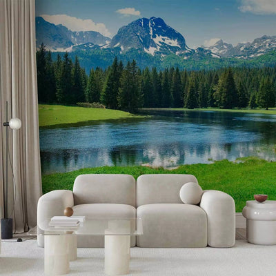 Wall Murals - Durmitor National Park landscape - mountain landscape with forest G-ART