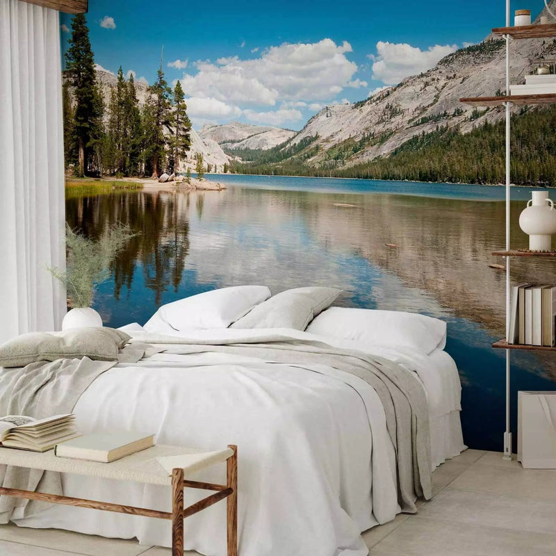 Wall Murals living room with Tenaya Lake in the national park, 60262 G-ART