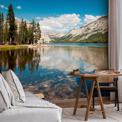 Wall Murals living room with Tenaya Lake in the national park, 60262 G-ART