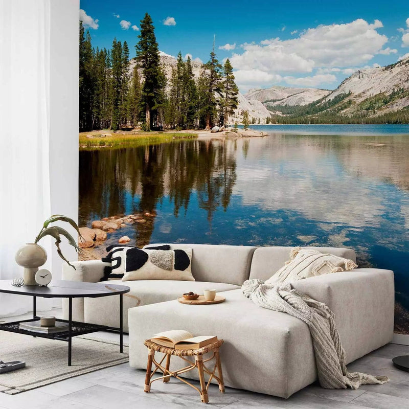 Wall Murals living room with Tenaya Lake in the national park, 60262 G-ART