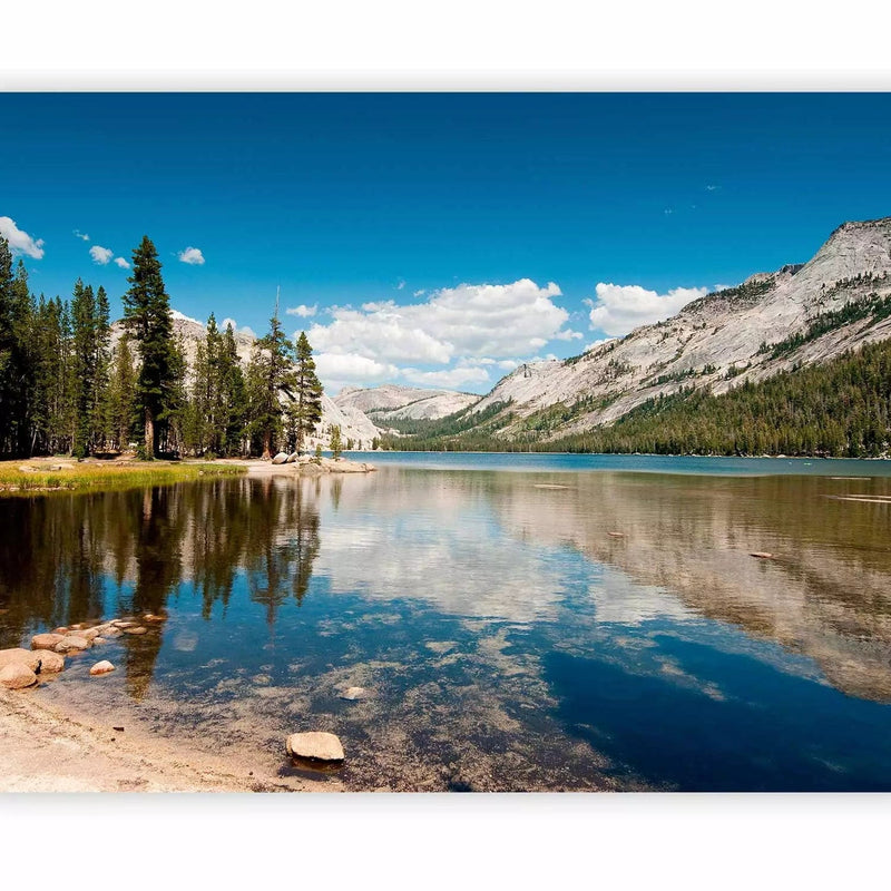 Wall Murals living room with Tenaya Lake in the national park, 60262 G-ART