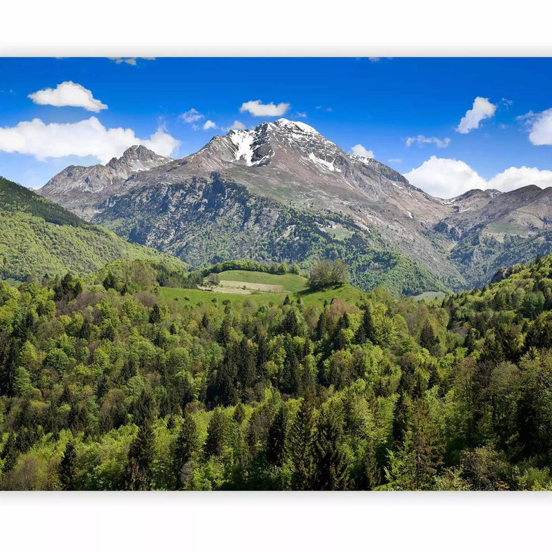 Wall Murals - landscape with high mountains among green hills G-ART