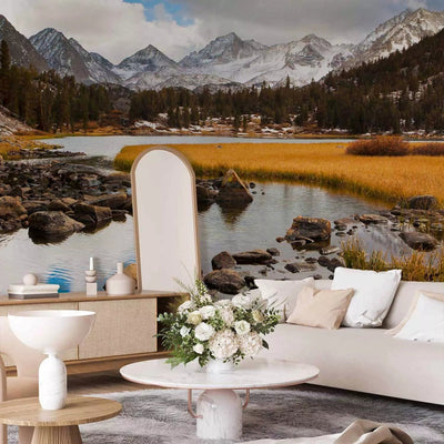 Wall Murals for living room with forest stream and mountains, 60597, brown, blue G-ART