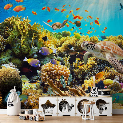 Фотообои с коралловым рифом - подводным миром, 59999 G -та