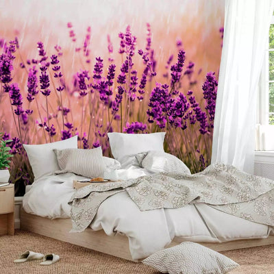 Wall Murals - Lavender - Meadow landscape with flowers and blurred backon -art