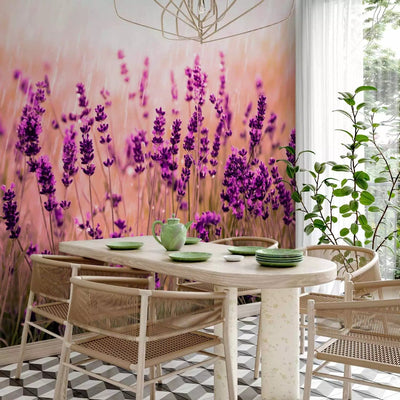 Wall Murals - Lavender - Meadow landscape with flowers and blurred backon -art