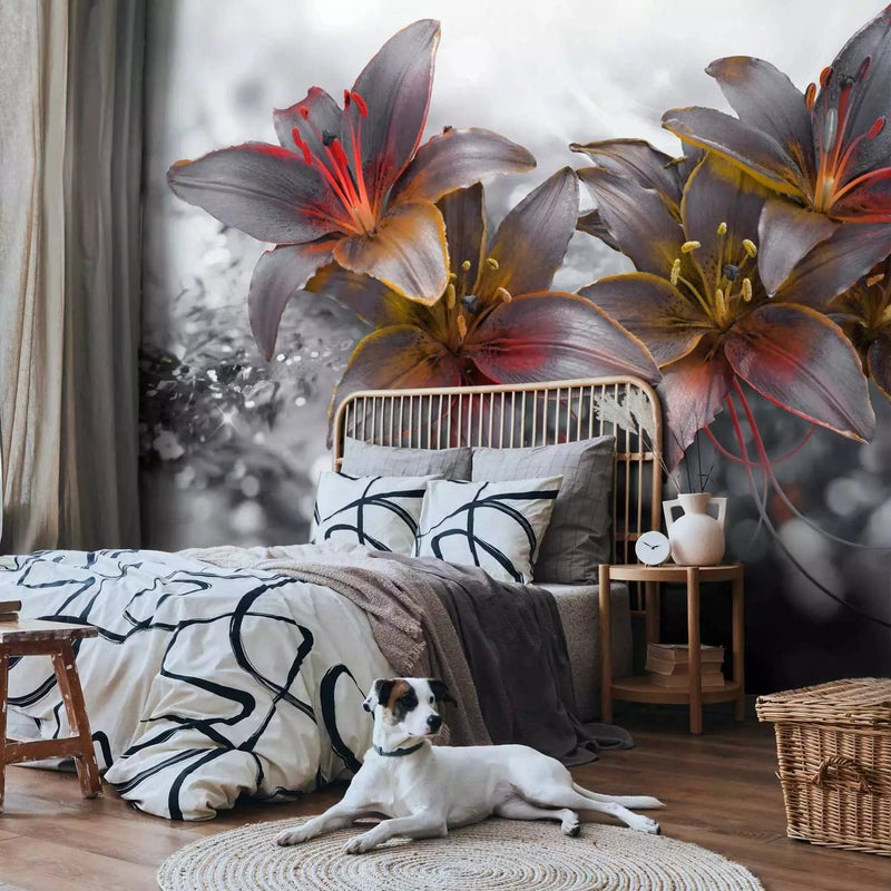 Wall Murals - Black and white lilies with orange accent on grey background G-ART