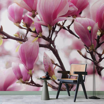 Fototapetes ar magnoliju - Ziedošas magnolijas - 60416 G-ART