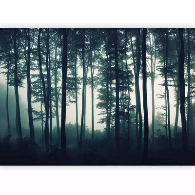 Wall Murals with a beautiful misty forest in dark green tones, 94799 G-ART