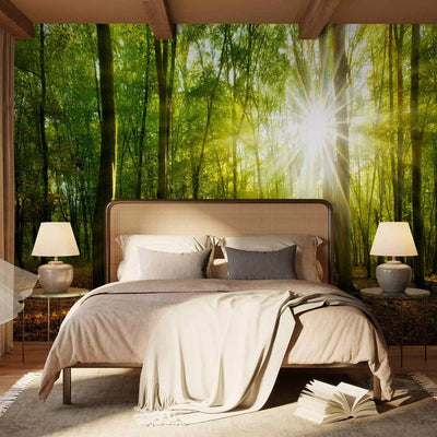 Wall Murals with forest - natural light, 138048 - bedroom variantg -art