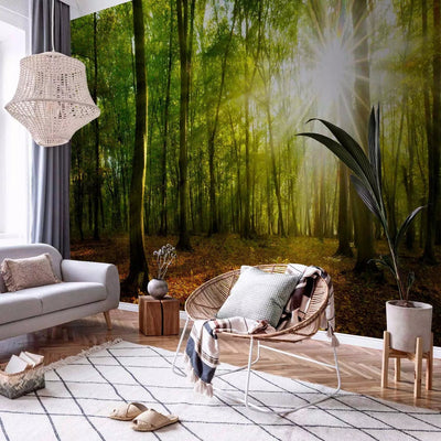 Wall Murals with forest - natural light, 138048 - bedroom variantg -art