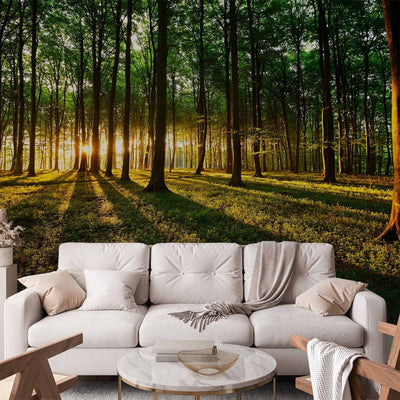 Natural Wall Murals with forest - morning in the forest - 60494 - odorless G -art