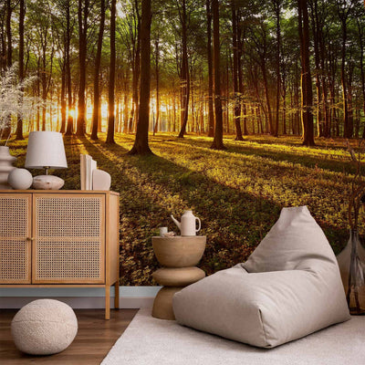 Wall Murals with forest - Summer: morning in the forest, 60495 G-ART