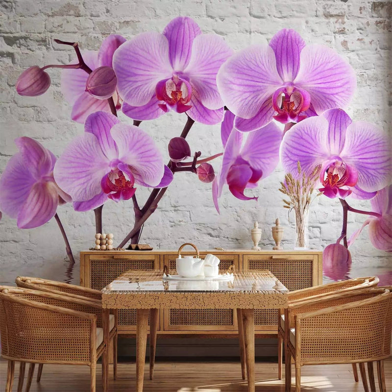 Fototapetai - violetinės orchidėjos pilkos plytų sienos fone, 62019G-ART