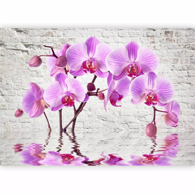 Fototapetai - violetinės orchidėjos pilkos plytų sienos fone, 62019G-ART