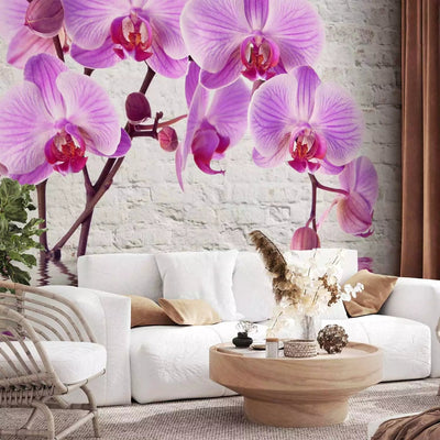 Fototapetai - violetinės orchidėjos pilkos plytų sienos fone, 62019G-ART