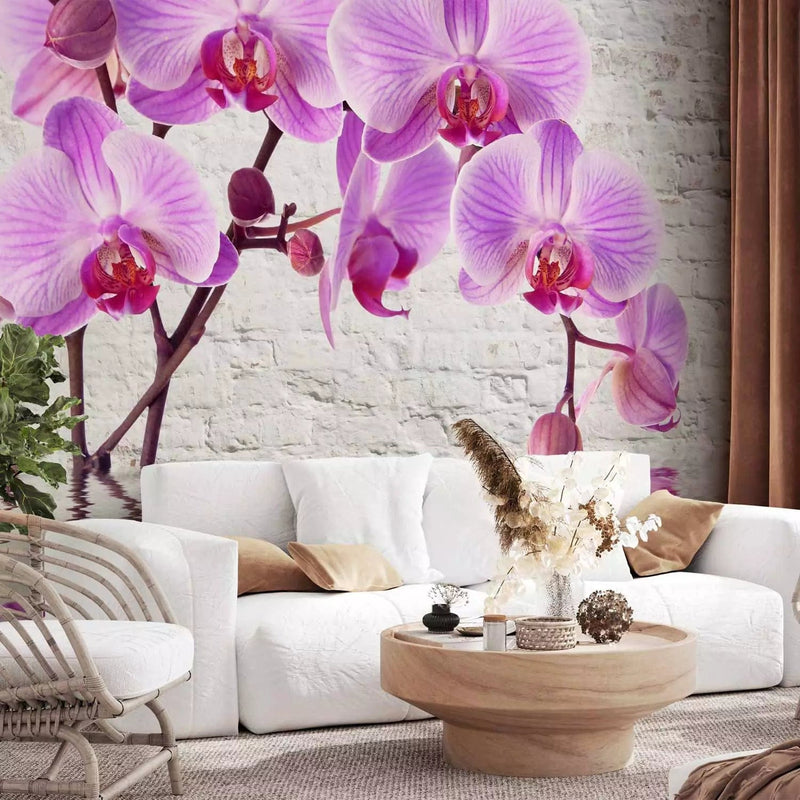 Fototapetai - violetinės orchidėjos pilkos plytų sienos fone, 62019G-ART