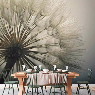 Wall Murals bedroom, with dandelions - gray fascination, 74562g -art