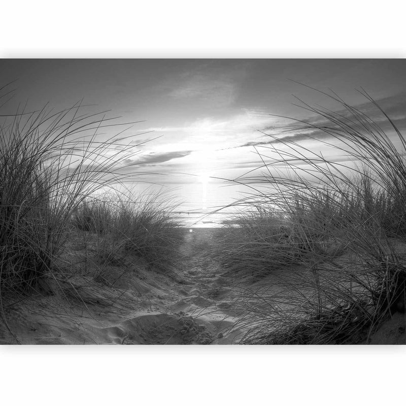 Фотообои С пляжем - пляж (черно -белый), 61606 g -art