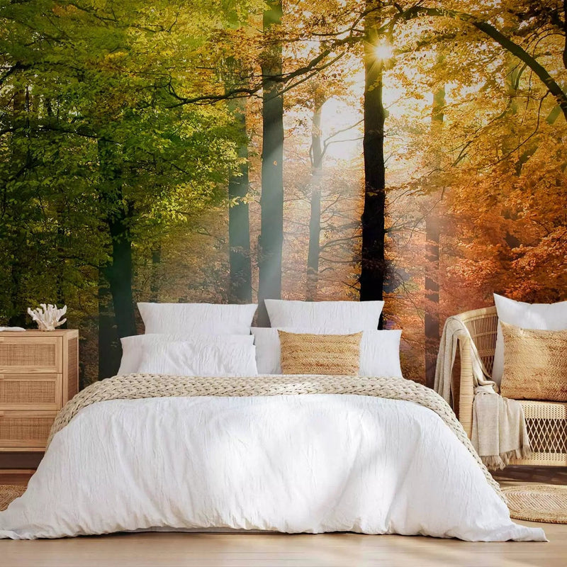 Wall Murals with autumn forest - Golden Autumn - 59842 - choose here G-ART