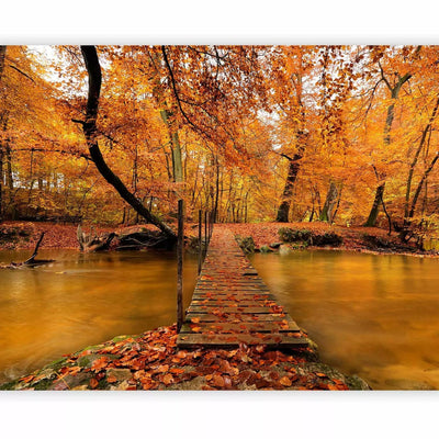 Fototapetes ar rudens skatu - Rudens tilts, oranža toņos, 59839 G-ART