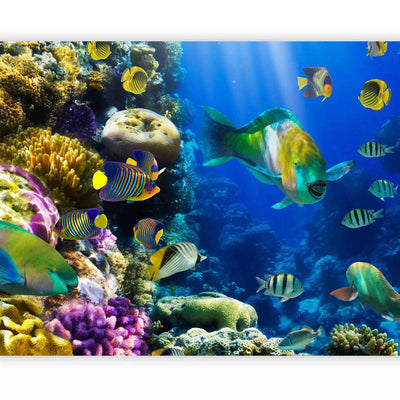 Wall Murals with tropical fish and corals - Underwater paradise G-ART