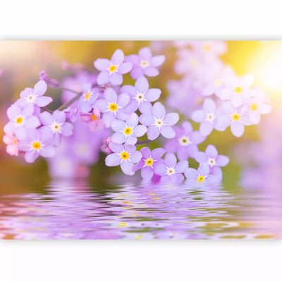 Wall Murals with purple flowers close-up - for the living room G-ART