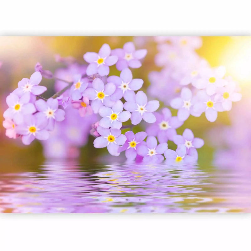 Wall Murals with purple flowers close-up - for the living room G-ART