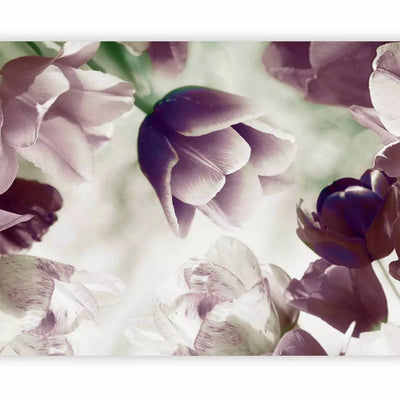 Wall Murals with flowers - Purple tulips, 60638 G-ART