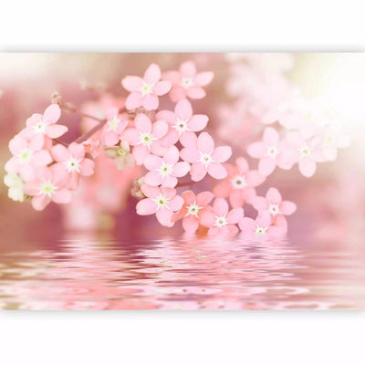 Wall Murals with flowers close-up in soft pink tones - 61937 G-ART