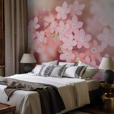 Wall Murals with flowers close-up in soft pink tones - 61937 G-ART