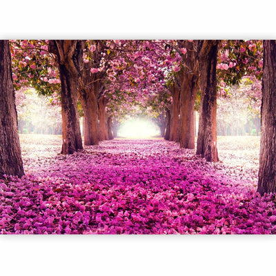 Fototapeet lillakates toonides lillealleega - Pink road, 60422 G-ART