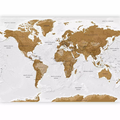 Wall Murals with modern world map in white and brown tones G-ART