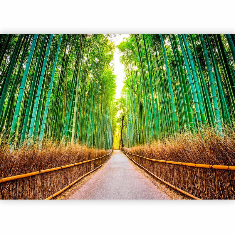 Fototapetes - Bambusa mežs, 64513 G-ART