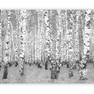 Wall Murals with black and white birch trees in the bedroom, 60570 - dimensions G-ART