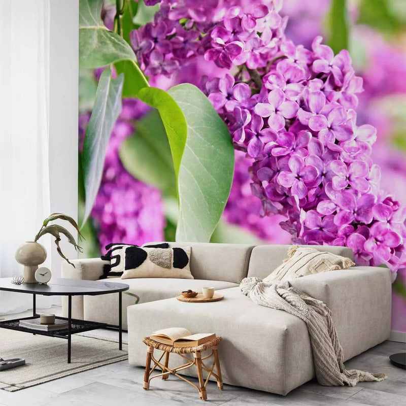 Wall Murals with lilac - lilac time - 60668g -art